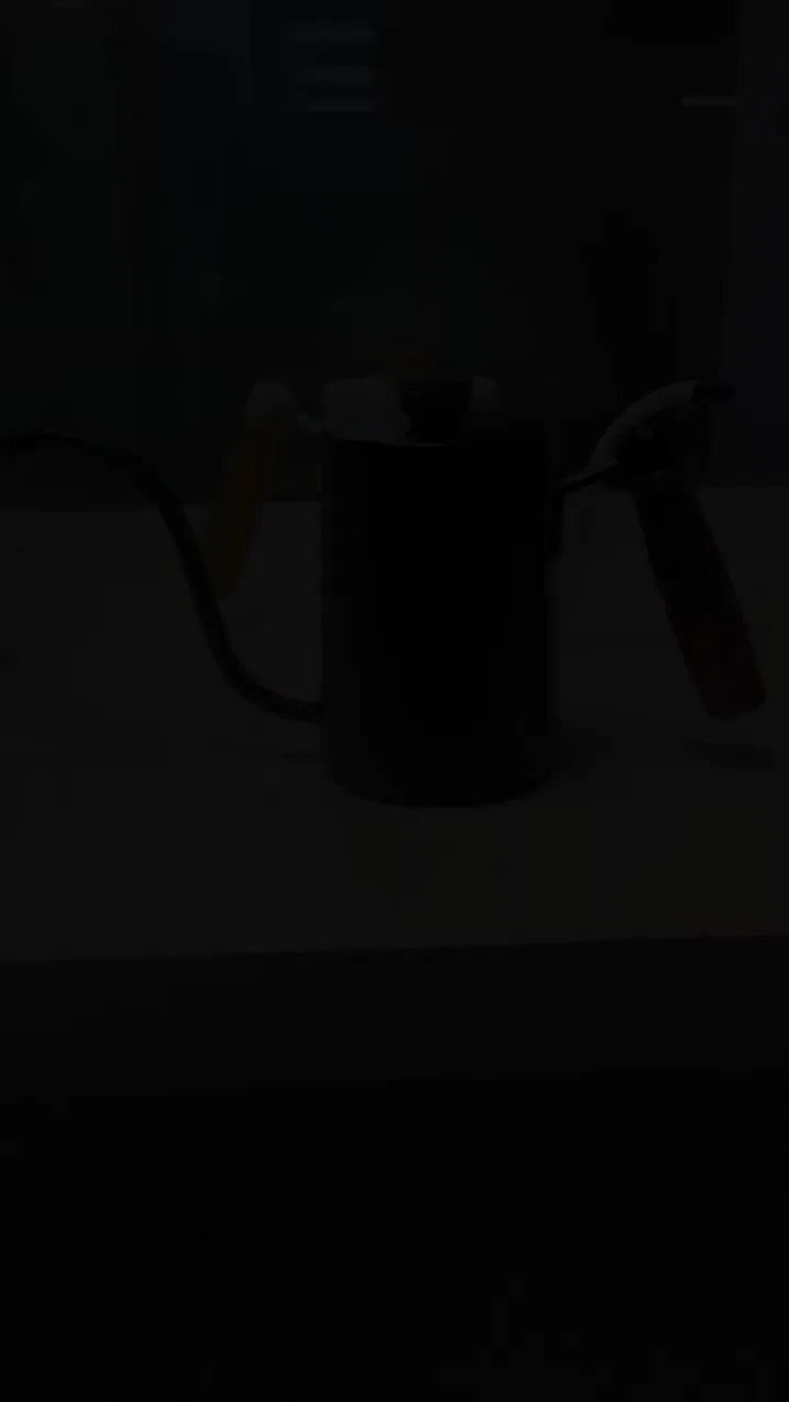 600ml Stainless Steel Gooseneck Kettle Wood Handle